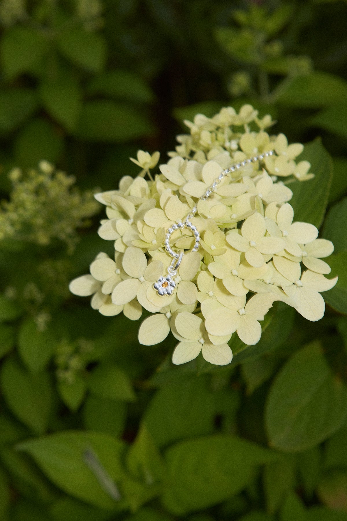 Karabińczyk Dewdrop Silver